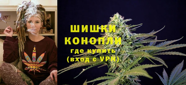 винт Белокуриха