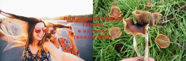 гашишное масло Арсеньев