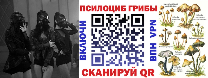 цены наркотик  Чудово  darknet как зайти  Галлюциногенные грибы мицелий 