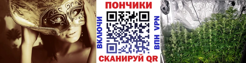 мега tor  Чудово  Конопля White Widow 